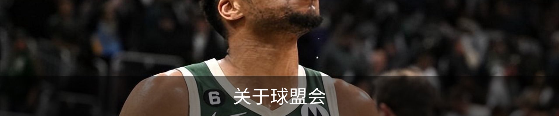 关于球盟会